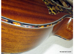 TANGLEWOOD TW47 E Sundance (12)