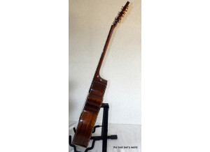 TANGLEWOOD TW47 E Sundance (13)