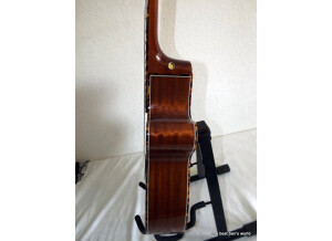 TANGLEWOOD TW47 E Sundance (14)