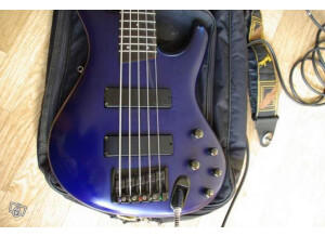 Ibanez Ergodyne Series - EDB-605