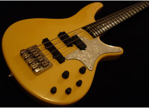 Ibanez VW corps recto 4