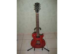 Gibson Les Paul BFG (97268)