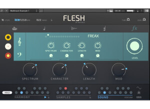 Flesh 06 fx-engine