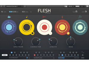 Flesh 01_main