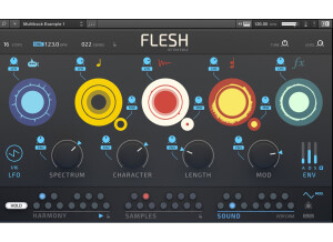 Flesh 10_modulation