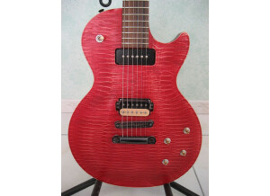 Gibson Les Paul BFG (13991)