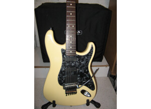 Fender Standard Stratocaster HSS [2009-Current] (14715)