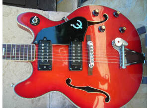 Epiphone EA 250