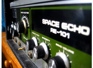 Roland RE-201 Space Echo (5845)