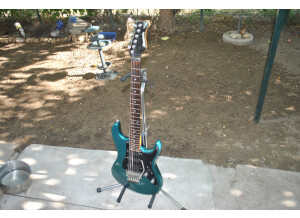 Valley Arts Guitars STANDARD PRO (20324)