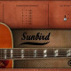 Sunbird Sunbird