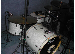 Pearl Export Radical EXR (5969)