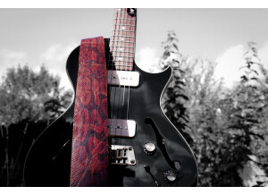 Fender Telecaster Reissue 52