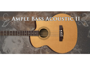 Ample Bass acoustic banner