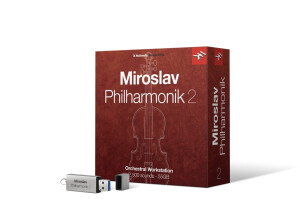miroslav philharmonik 2 RIGHT USB silk