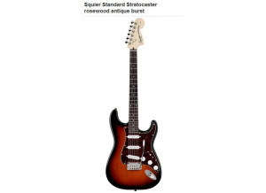Squier Stratocaster Standard Rosewood