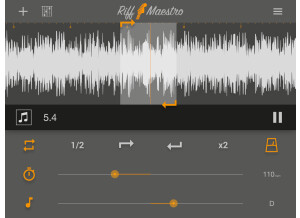 Rm ipad landscape waveform loop