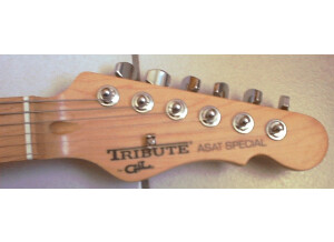 G&L Tribute ASAT Special (26445)
