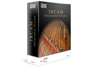 Ircam prepared piano8