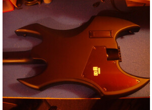 Steinberger Synapse collection - Demon