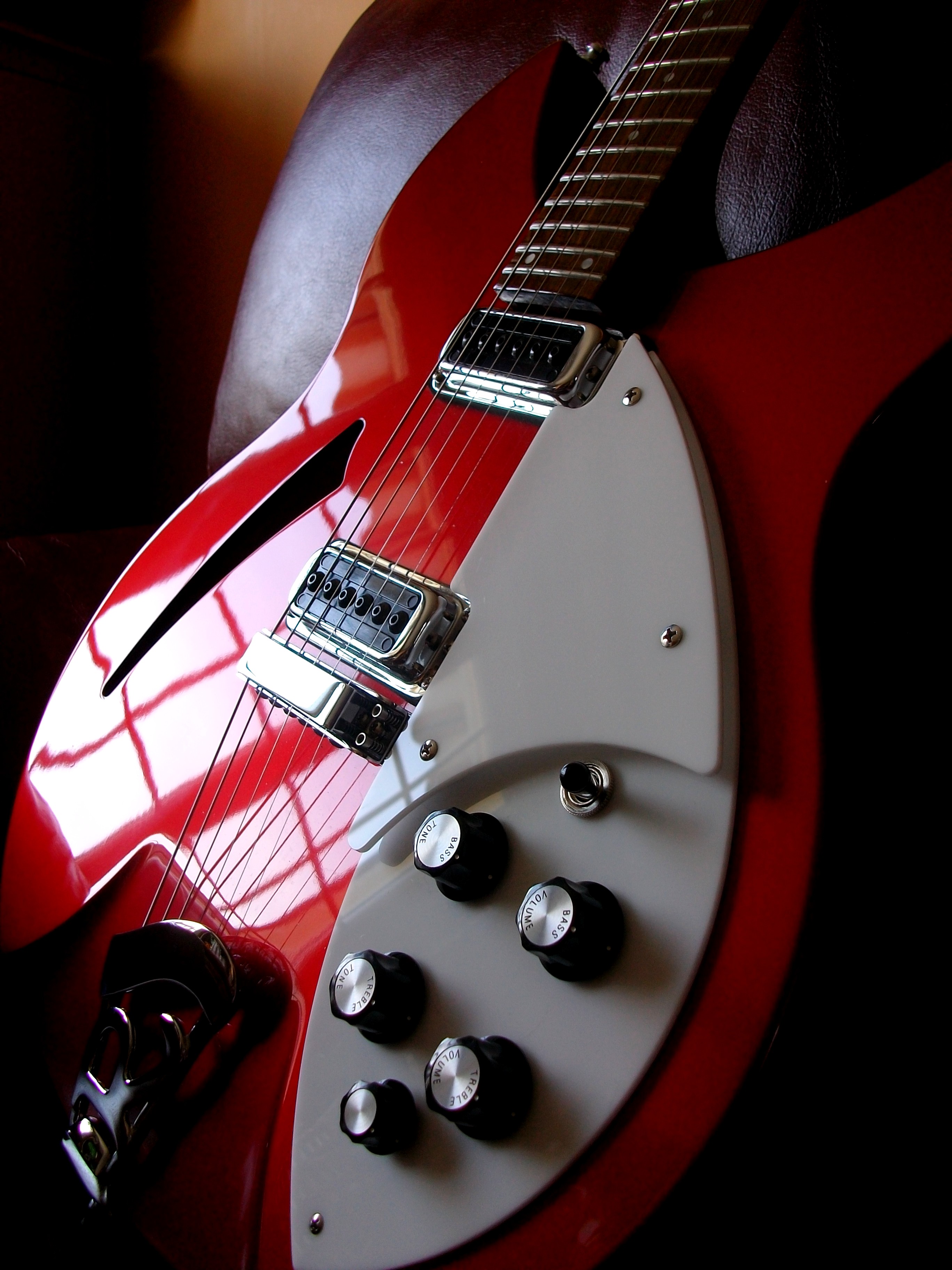 Rickenbacker 330