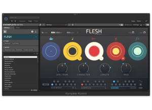 Native Instruments Flesh