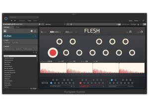 Native Instruments Flesh