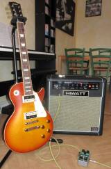 Tokai LS-110F