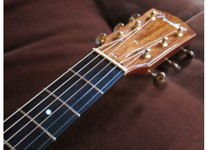 Fender ESD-10 E (44570)