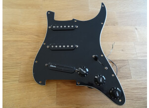 Fender Loaded Pickguard (24890)
