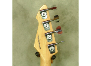 Peavey T45