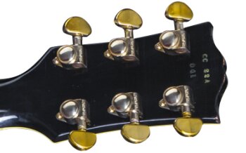 LPC59CC22EBGH1 FRETBOARD PANEL 02 LPC59CC22EBGH1 FRETBOARD PANEL 02