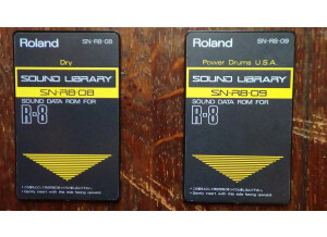 Roland SN-R8-08 : Dry (45817)