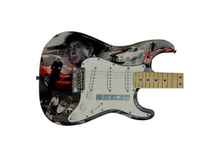 Fender FSR 2010 American Standard Stratocaster Shelby Collage