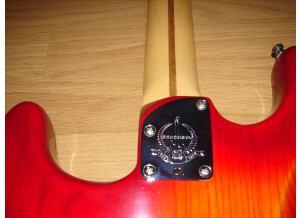 Fender American Deluxe Stratocaster [2010-2015] (4646)