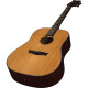 AXS Dreadnought AXS Dreadnought