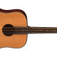AXS Dreadnought AXS Dreadnought