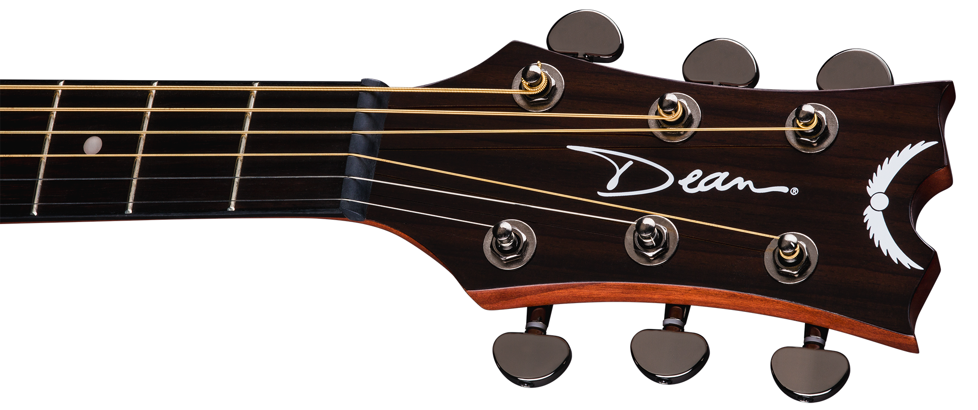 Dean Guitars AXS Dreadnought Cutaway : axdcegn v5