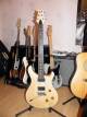PRS CE 24 (1991-2008)