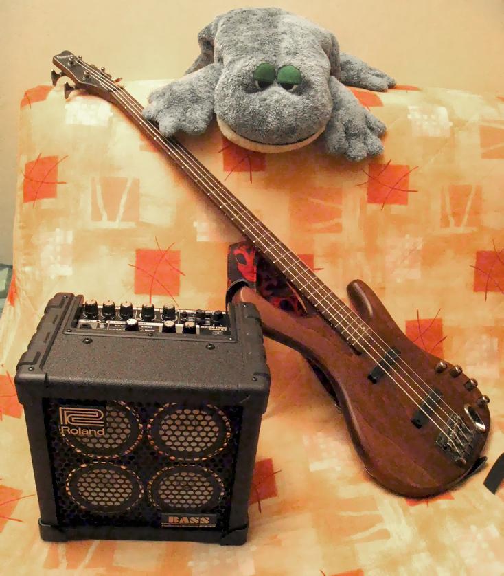 Roland M-Cube-Bass-RX