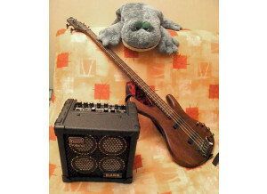 Roland MICRO CUBE BASS RX