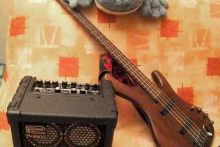 Roland M-Cube-Bass-RX