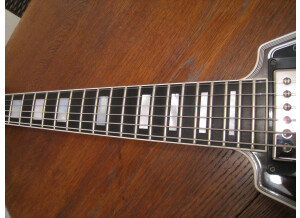 Gibson Flying V Custom (87313)