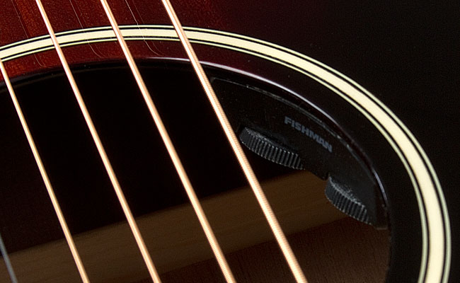 Epiphone Ltd. Ed. EL-00 PRO Mahogany Acoustic/Electric : N 010116A21