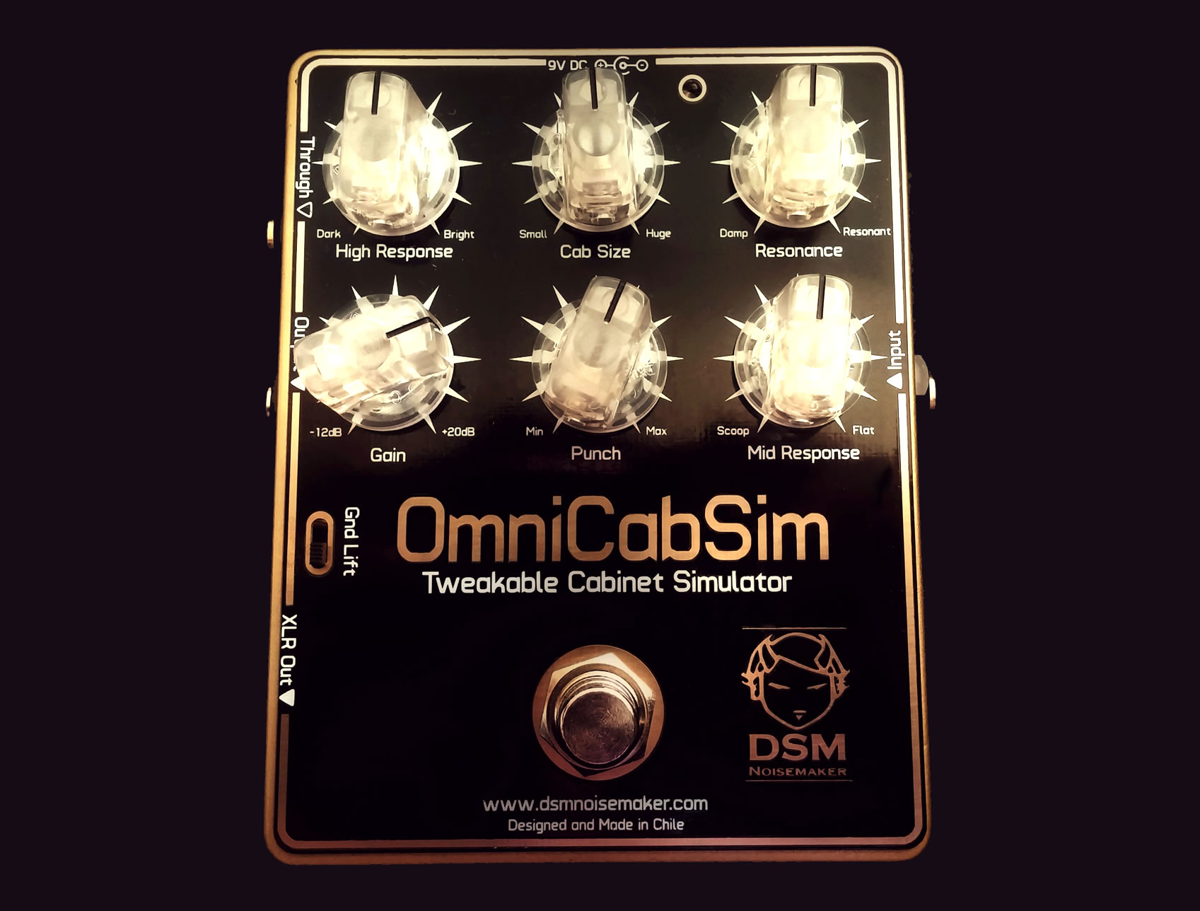 DSM Noisemaker OmniCabSim