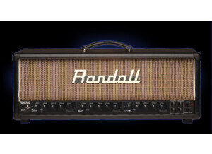 Randall RM 100 B (2528)