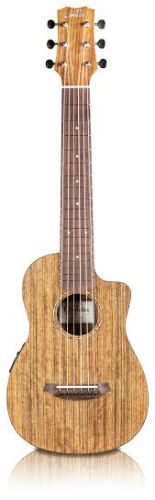 JAN16 LNU CORDONA MiniOvangElec WEB