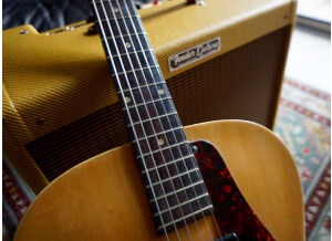 Fender Deluxe 5E3 & Gibson ES125