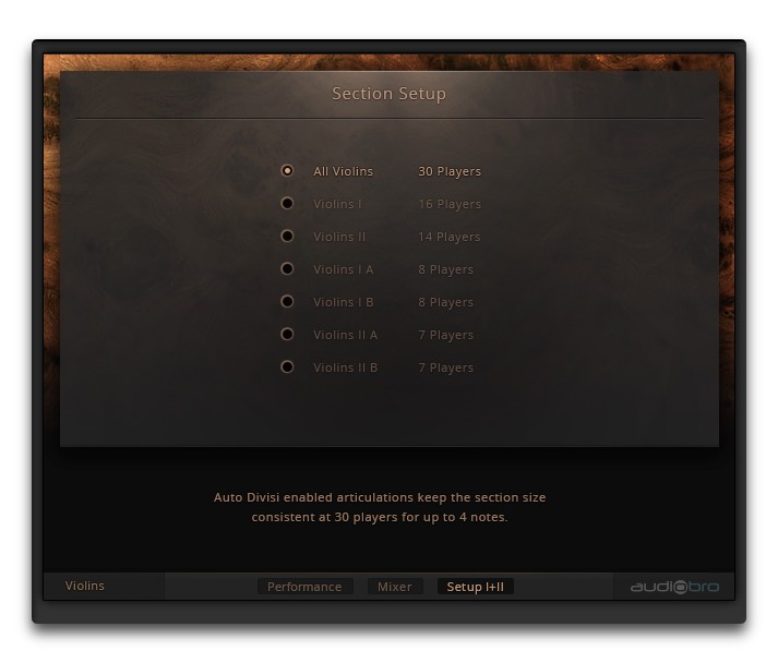 Native Instruments String Ensemble : SectionSetup