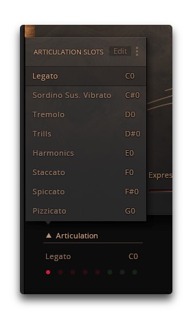 Native Instruments String Ensemble : Slots